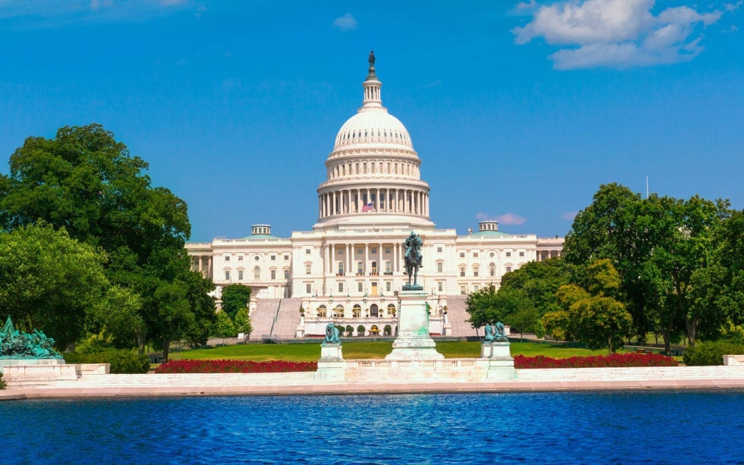 DMGS on the Hill: Cyber Defense Policy and the Law