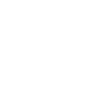 Carnegie Endowment for International Peace